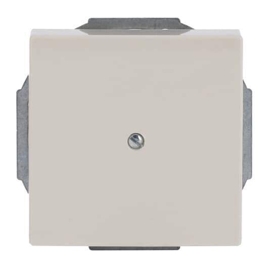 Busch-Jaeger 1749-82 Zentralscheibe sav/ews m.Tragr.f.Ltgsauslaß