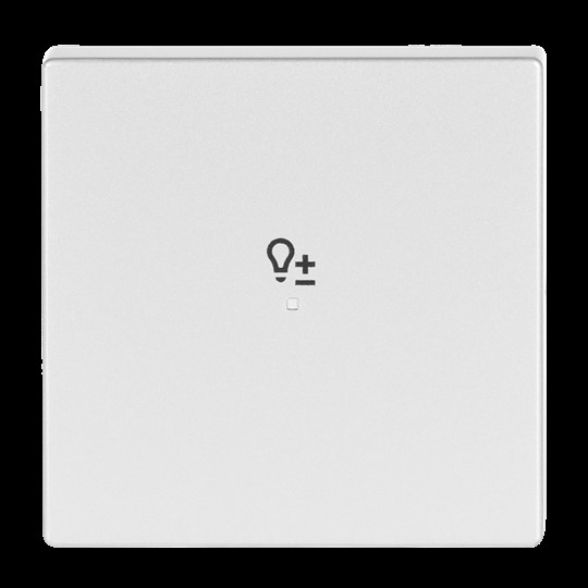 Busch-Jaeger 6234-10-83 Wippe 1-f Symbol Dimmer alusilber