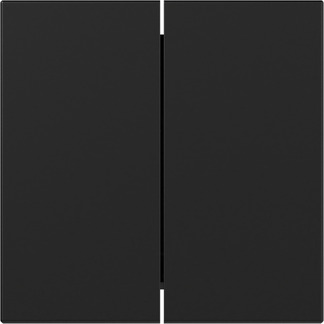 Gira 3495005 Wippe 2f gerade Schwarz m