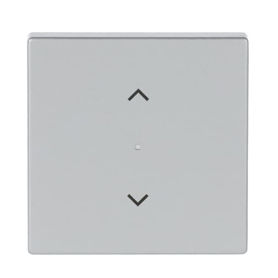 Busch-Jaeger 6232-10-83 Wippe 1-f Symbol Jalousie alusilber