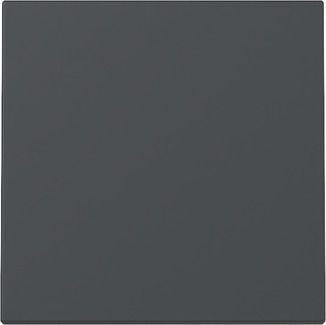 Gira 329628 Wippe Anthrazit