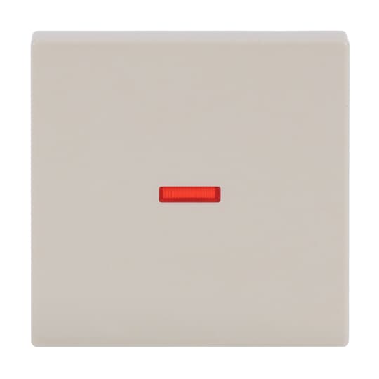 Busch-Jaeger 1789-82 Kontroll-Wippe sav/ews Aus,Wech.,Kreuz,Tas.