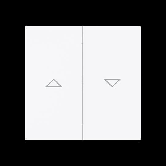 Busch-Jaeger 1785 JA-44G Wippe Jalousie Pfeil auf/ab