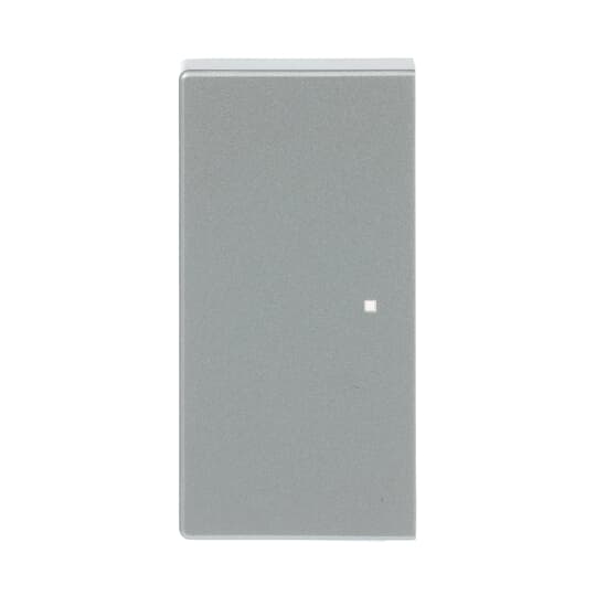 Busch-Jaeger 6230-20-83 Wippe 2-fach alusilber