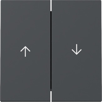 Gira 329428 Wippe 2f Pfeil Anthrazit