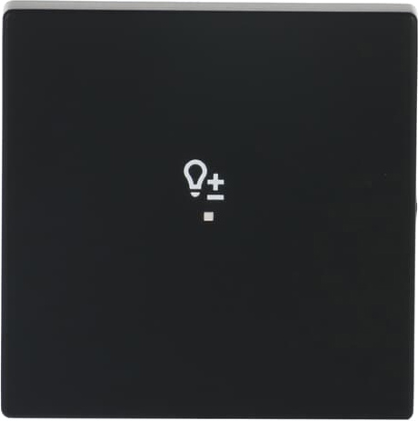 Busch-Jaeger 6234-10-885 Wippe sw mt future linear