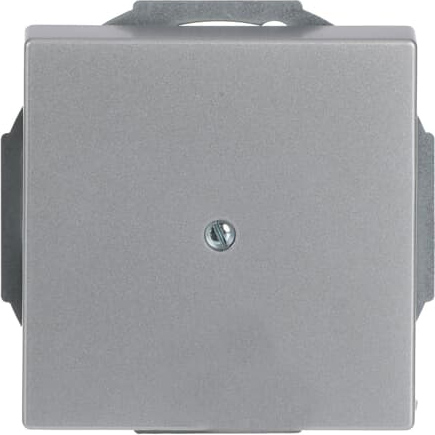 Busch-Jaeger 1749-83 Zentralscheibe alusi m.Tragr.f.Ltgsauslaß