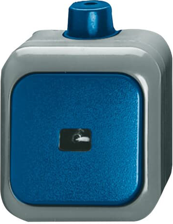 Busch-Jaeger 2621 WDI Wipptaster Schliesser 1pol. AP