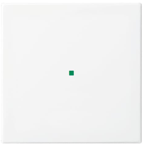 Busch-Jaeger 6230-10-914 Wippe aws Busch-balance SI