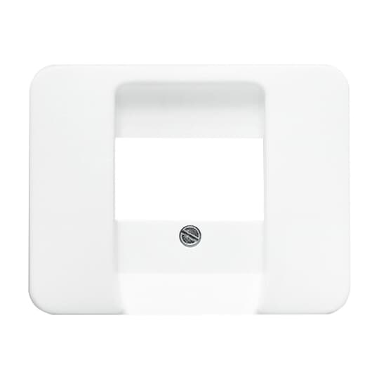 Busch-Jaeger 1766-24G Zentralscheibe stws gl f.UAE/TAE/LS