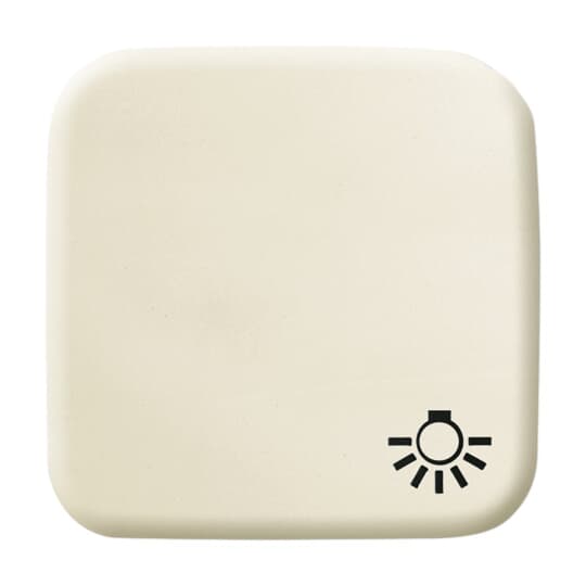 Busch-Jaeger 2520 LI-212 Wippe ws mit Symbol Licht