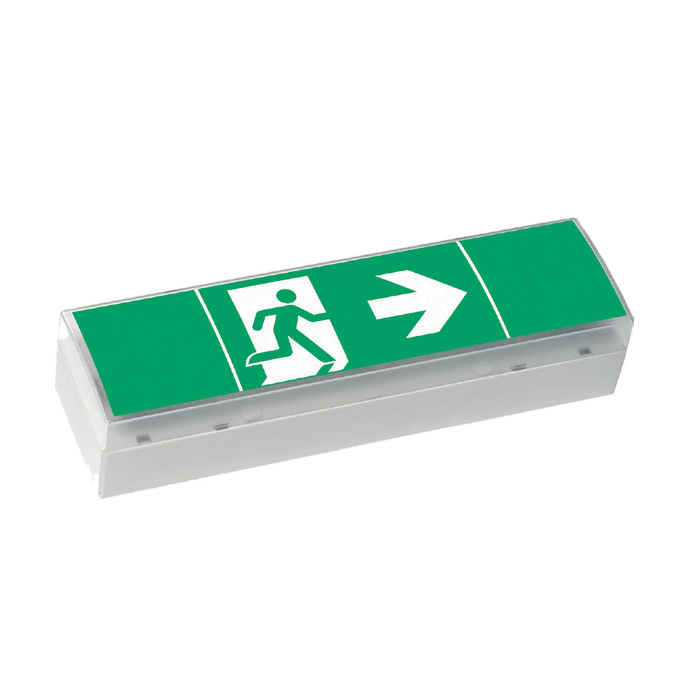 Ceag Notlichtsysteme SV EURO4L LED 3h SET LED-Einzelbatterie-Leuchte m.Prüftaster