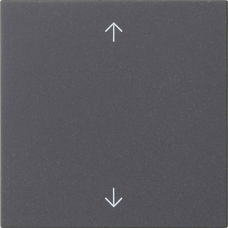 Gira 538928 Wippe 1-fach Anthrazit