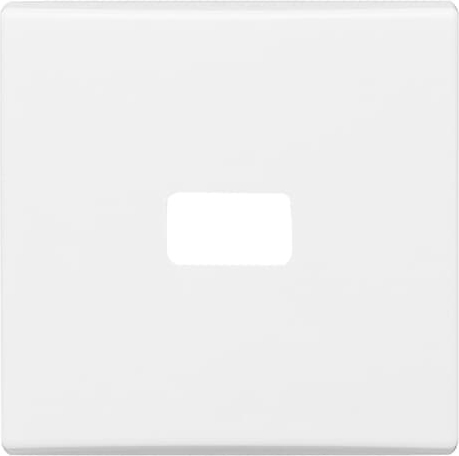 Busch-Jaeger 2120-34 Wippe aws offen für Symbol