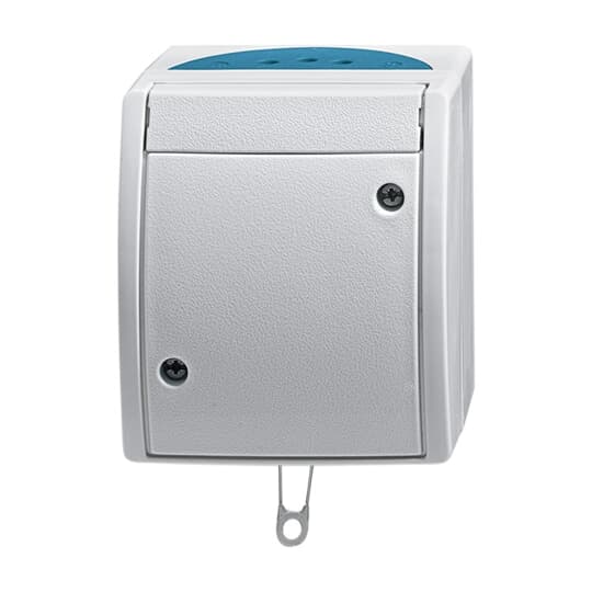 Busch-Jaeger 2610/6 W-53 Zugwechselschalter AP