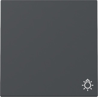 Gira 328528 Wippe Symb. Licht Anthrazit