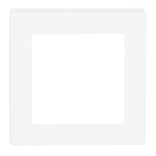 Busch-Jaeger 1716-84 Zentralscheibe dav/sws für UP Infolicht