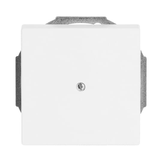 Busch-Jaeger 1749-884 Abdeckung stws mt m.Tragr.f.Ltgsauslaß