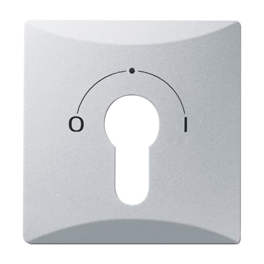 Busch-Jaeger 2155 SLPZ-33 Zentralscheibe alusilber f.Schlüsselschalter