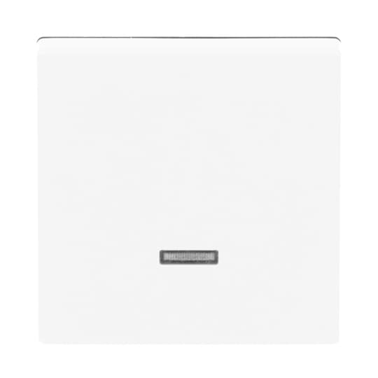 Busch-Jaeger 6543-84-101 Bedienelement dav/sws f.St.gerät,Dim.Re.Ei