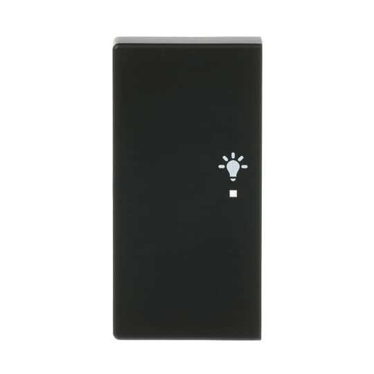 Busch-Jaeger 6231-21-885 Wippe sw mt future linear