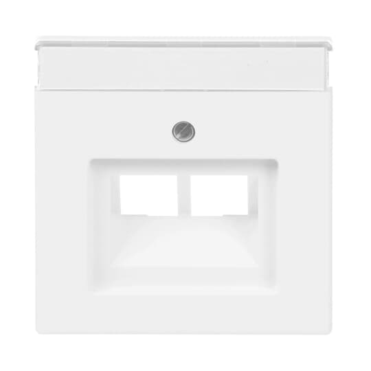 Busch-Jaeger 1803-02-884 Zentralscheibe stws mt f.UAE-Anschlussdo.2f