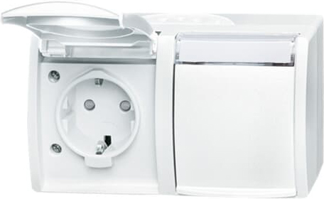 Busch-Jaeger 20/2 EBW-54 Steckdose alpinweiß, Aufputz