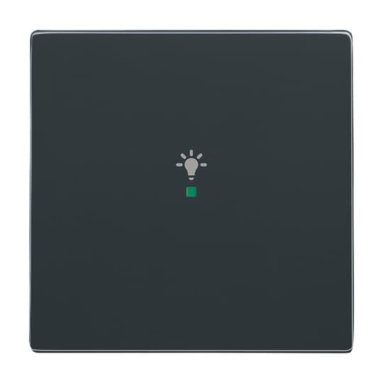 Busch-Jaeger 6231-10-81 Wippe 1-fach, Symbol Licht anthrazit