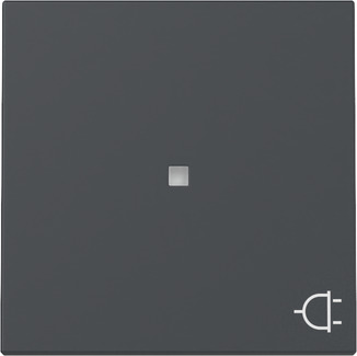 Gira 329128 Wippe Kontrollf. + Symb. Steckd. anthrazit