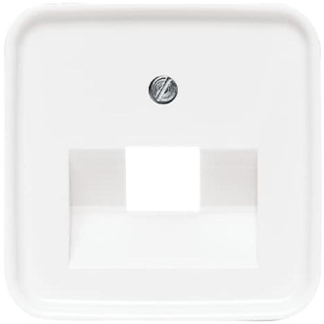 Busch-Jaeger 1803-214 Zentralscheibe aws f.UAE-Anschlussdo.1f