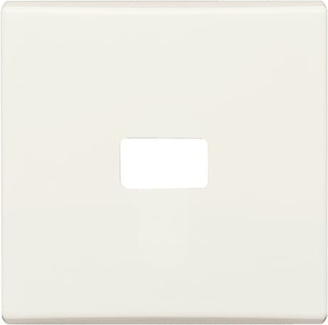 Busch-Jaeger 2120-32 Wippe cws offen für Symbol