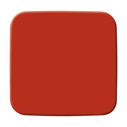 Busch-Jaeger 2506-217-101 Wippe rot RAL3020