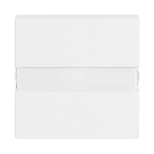 Busch-Jaeger 1764 NLI-84 Wippe dav/sws bel.,Beschriftungsf.