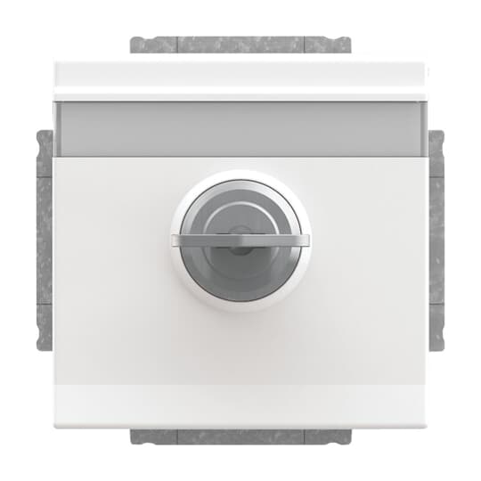 Busch-Jaeger 20 EUKNBSL-84-101 SCHUKO Steckdosen-Einsatz studioweiß