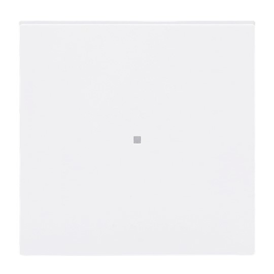 Busch-Jaeger 6230-10-44G Wippe, 1-fach neutral ohne Bedruckung