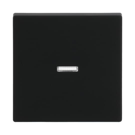 Busch-Jaeger 1789 N-885 Wippe schwarz matt