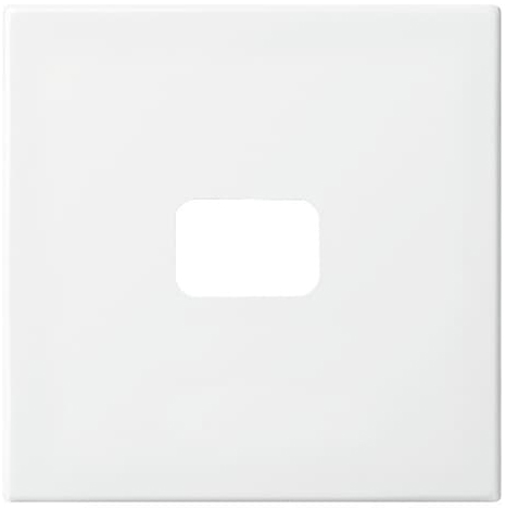 Busch-Jaeger 2520-914 Wippe offen für Symbol alpinweiß