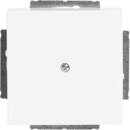 Busch-Jaeger 1742-84 Zentralscheibe dav/sws Blindabd,m.Tragring