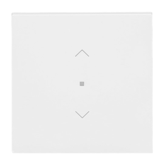 Busch-Jaeger 6232-10-44G Wippe 1-fach mit Symbol Jalousie