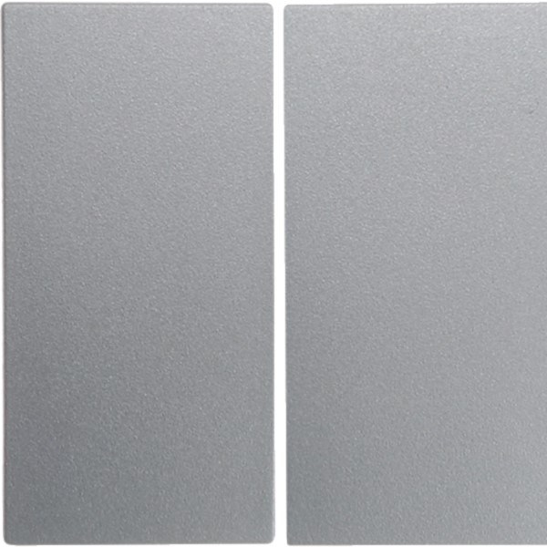 Berker 16231404 Wippe alu matt 2-fach