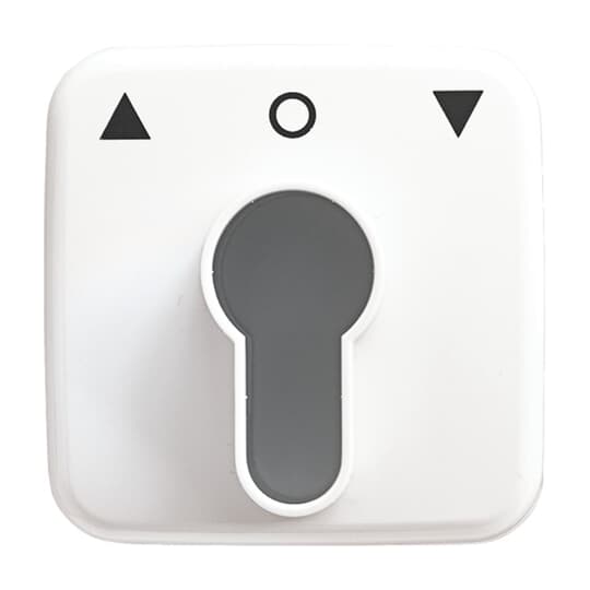 Busch-Jaeger 2557 PZ-214-101 Zentralscheibe aws f.Profilhalbzylinder