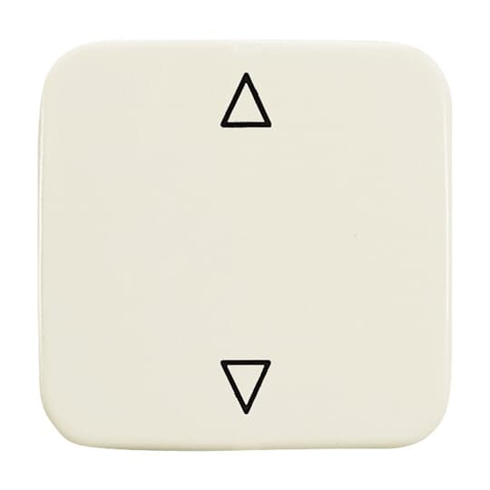 Busch-Jaeger 2506 JA/02-212 Wippe Jalousietaster