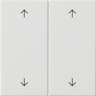 Gira 538703 Wippe 2-fach Reinweiß