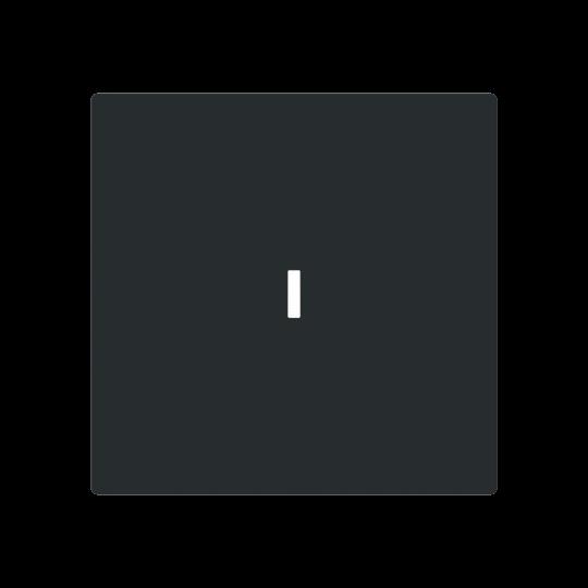 Busch-Jaeger 1789 N-45M Wippe m. Beschriftungsfeld