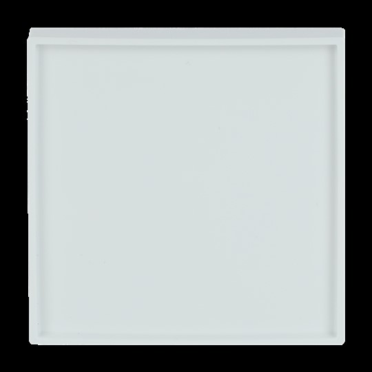 Busch-Jaeger 1790-590-84 Zentralscheibe studioweiß KHS-Systeme