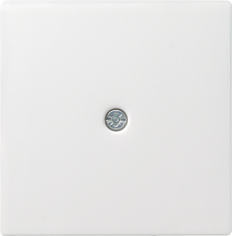 Gira 027427 Zentralpl.Schnurabl. rws System55