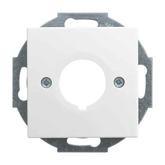 Busch-Jaeger 2533-914 Zentralscheibe alpinws f.Datenkommunikation