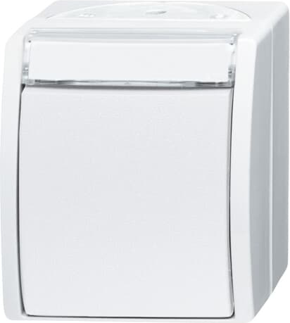 Busch-Jaeger 2601/6 WN-54 Wechselschalter