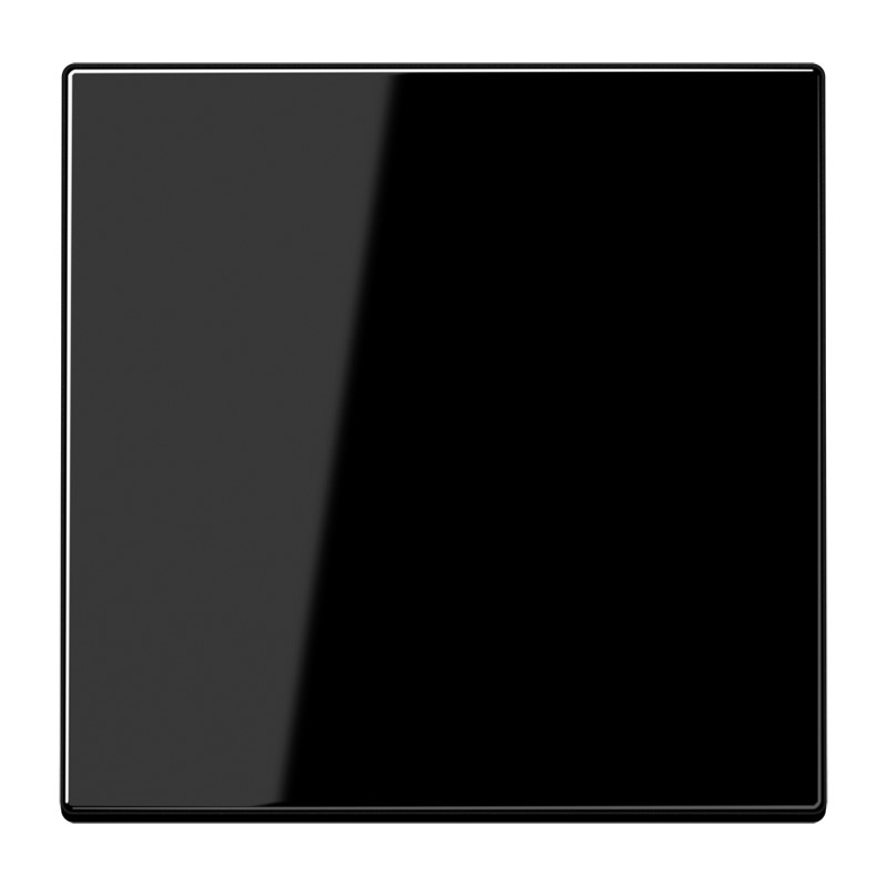 Jung LS 990 SW Wippe sw für Taster