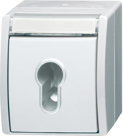 Busch-Jaeger 2733 SLW-54 Schlüsselschalter